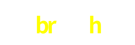 br519h